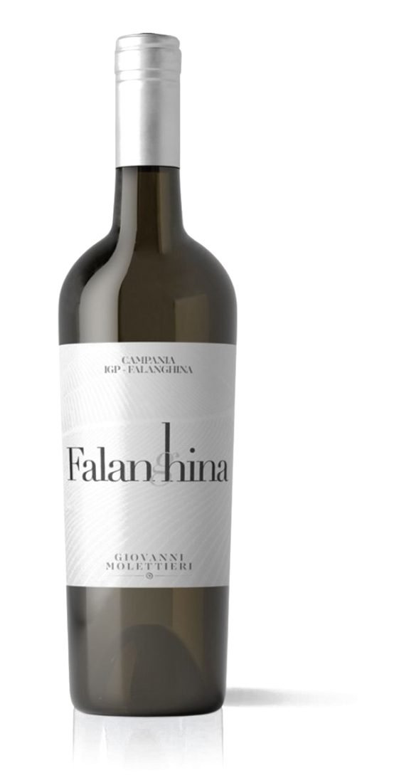 6 Btls. Falanghina Campania IGT, Giovanni Molettieri 75cl